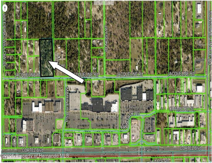 Property Photo:  00000 Jacqueline Road  FL 34613 