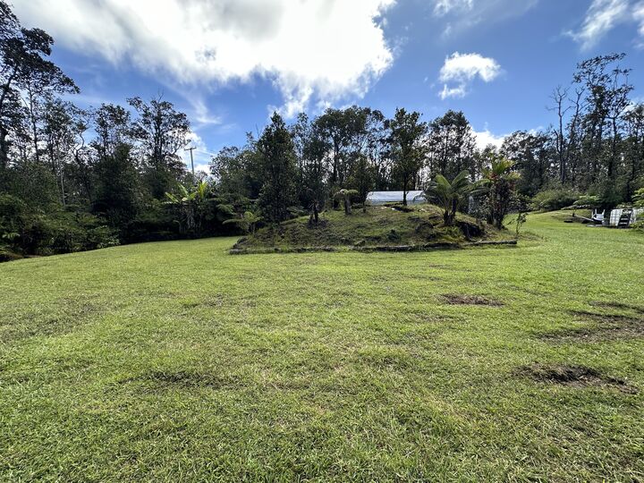 Property Photo:  11-3003 Kahaualea Rd  HI 96785 