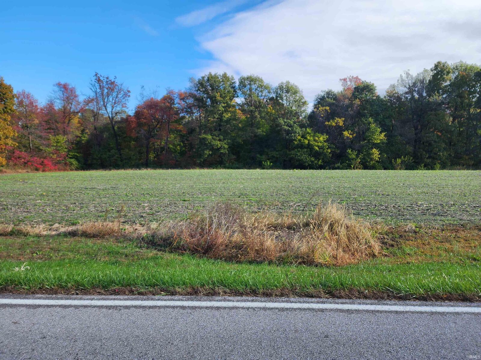 Property Photo:  0 Owensville Road  IN 47639 