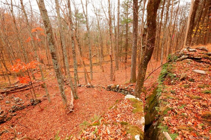 Property Photo:  424 High Falls Road  NY 12477 