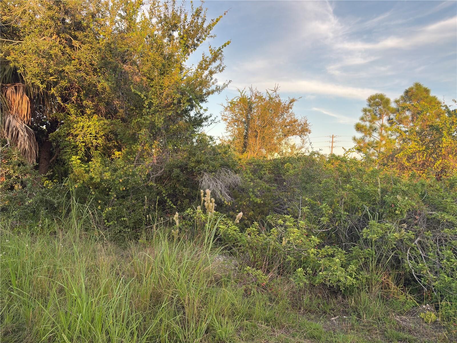 Property Photo:  14251 Ingraham Boulevard  FL 33981