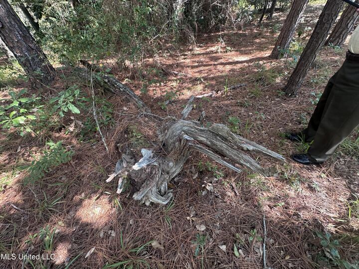 Property Photo:  00 Indiantown Road  MS 39552 