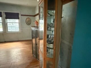 Property Photo: 306 Elizabeth Street IL 60409