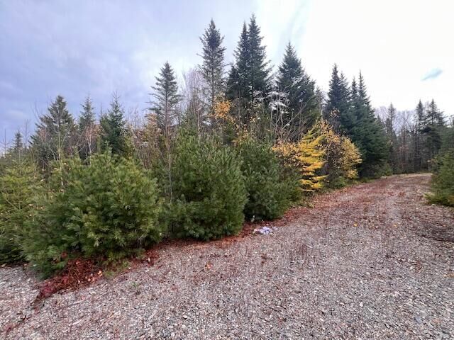 Property Photo:  M4 L2-14 Yellow Birch Road  ME 04691 