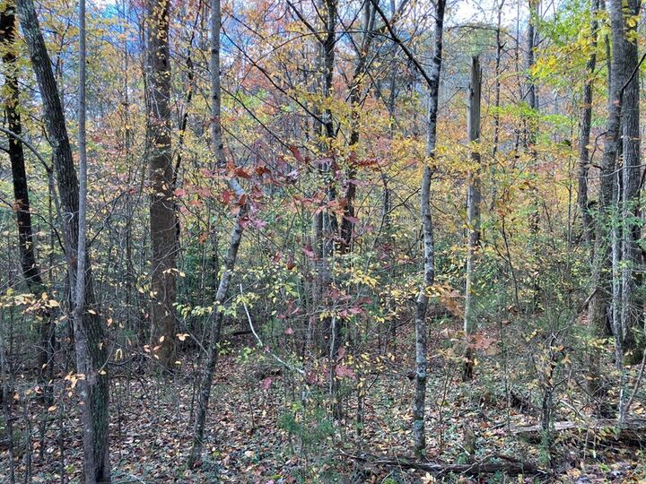 Property Photo:  39 Acres Hedden Stiles Road  NC 28906