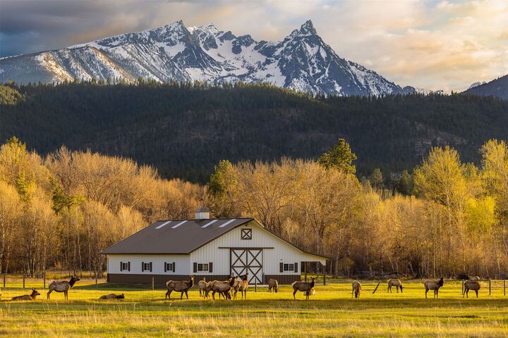 Property Photo: 50 Tippet Trail MT 59829