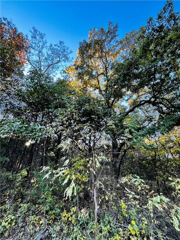 Property Photo:  Eagle Drive 6  AR 72631 