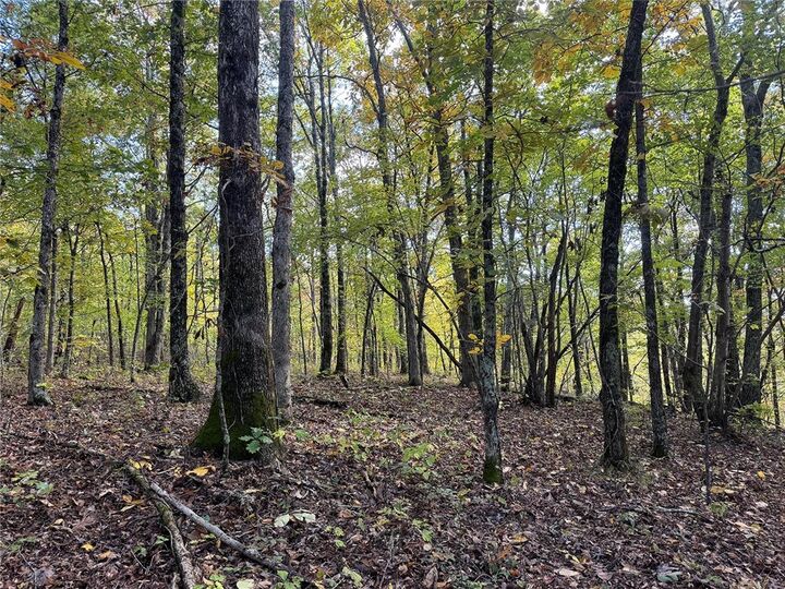 Property Photo:  Tbd 8 Ac Ar 7 South  AR 72856 