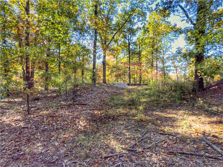 Property Photo:  Lot 10 Dogwood Court  AR 72601 