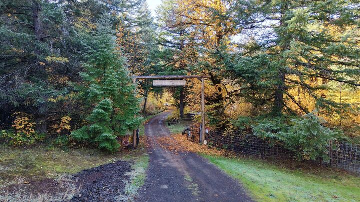 Property Photo:  52 Dodes Creek Road  OR 97541 