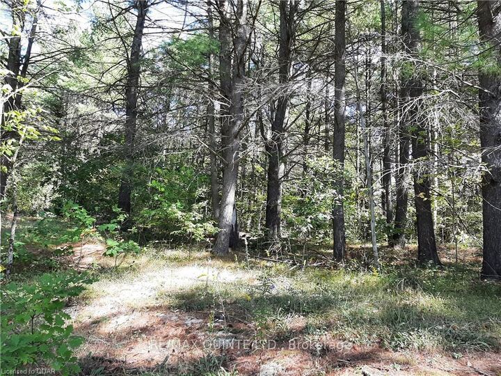 Property Photo:  0 Pt Lt12 Con14 Hwy 37 Road  ON K0K 3J0 