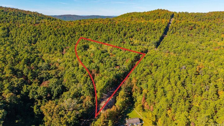 Property Photo:  000 Vivian Street  AR 71901 