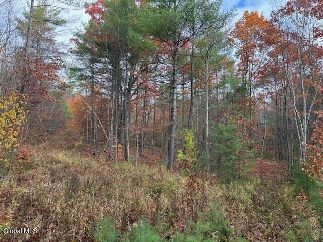 Property Photo:  954A Route 9N  NY 12912 