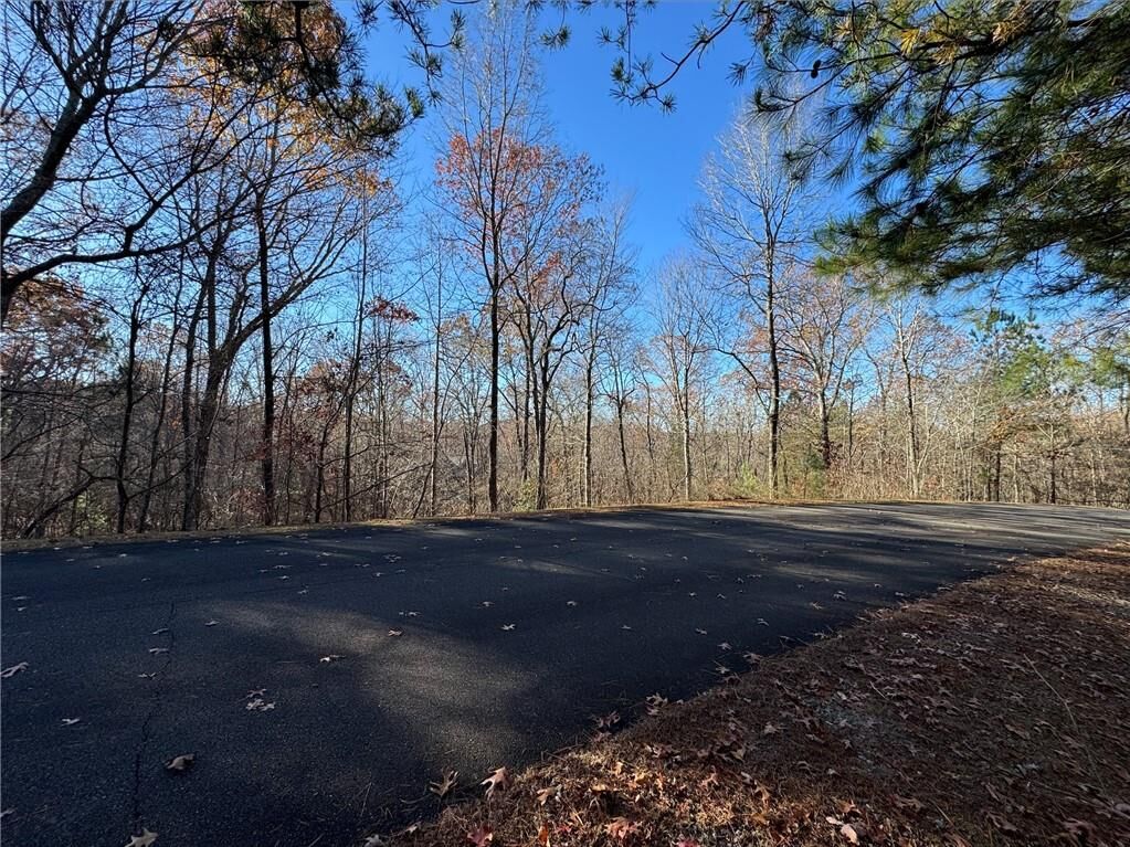 Property Photo: 131 Harris Creek Drive GA 30540