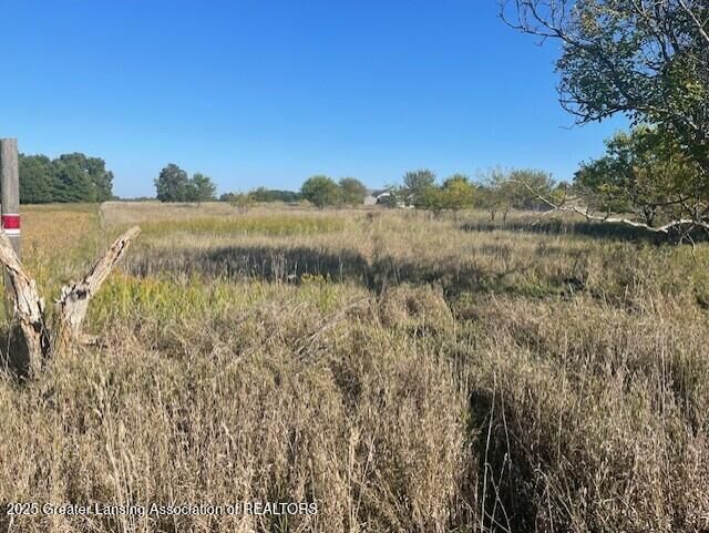 0 S Watson Road  St. Johns MI 48879 photo