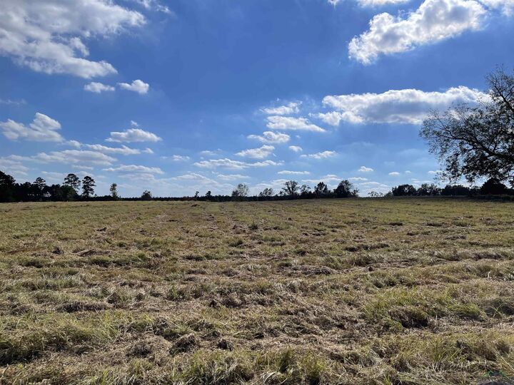 Property Photo:  Tbd Cr 121  TX 75643 