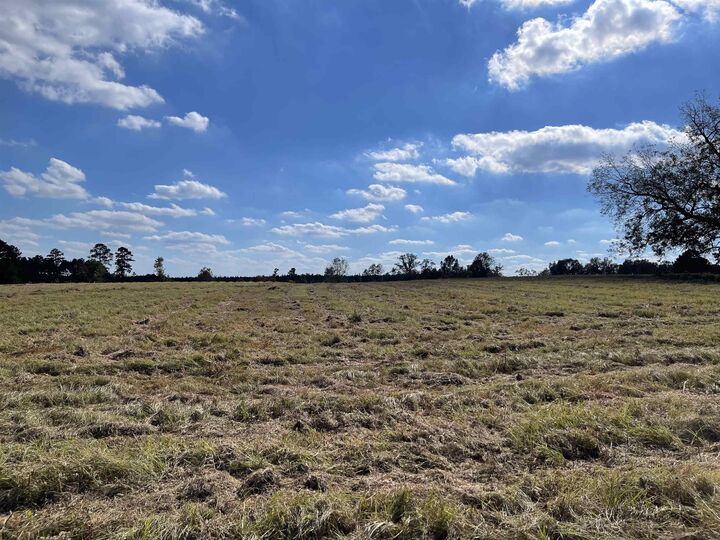 Property Photo:  Tbd Cr 121  TX 75643 