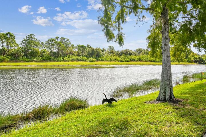 Property Photo: 5373 Eliseo Street FL 34238