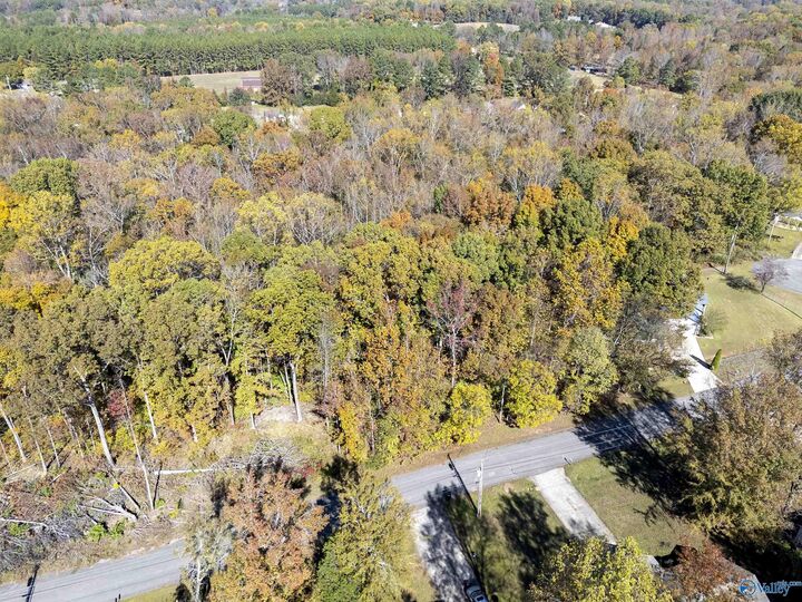 Property Photo:  357 Buffalo Creek Drive  AL 35773 