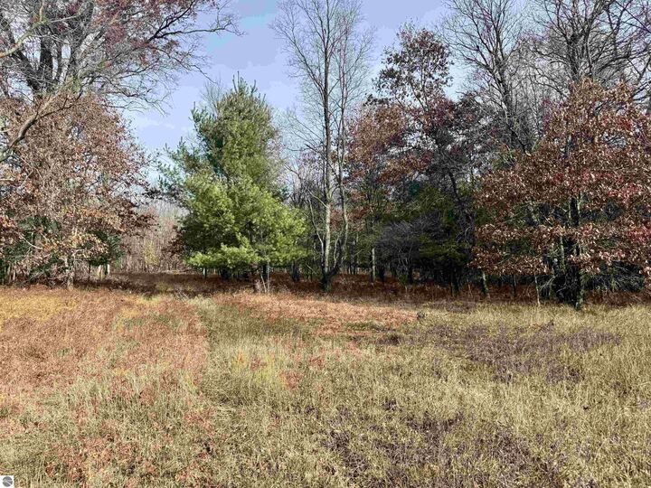 Property Photo:  Parcel E Rosted Road  MI 49651 