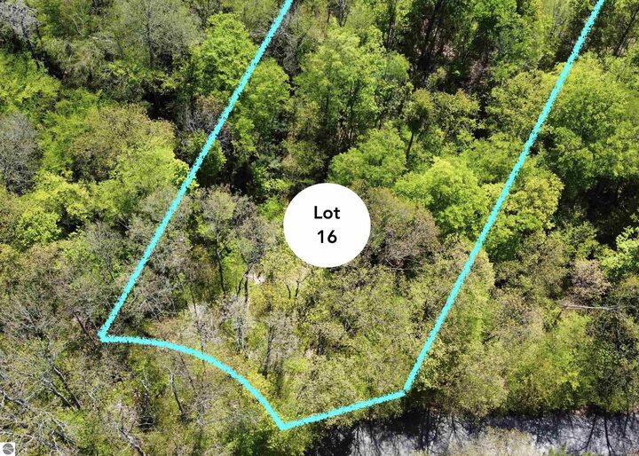 Lot 16 S Club Drive  Cedar MI 49621 photo