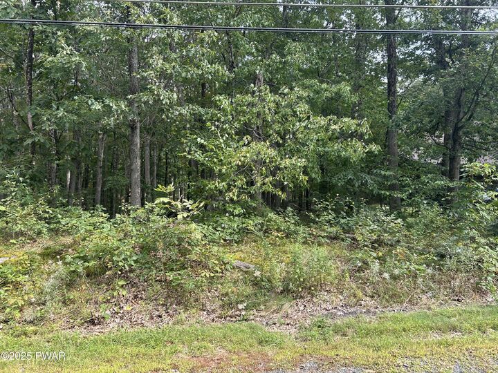 Lot 42 Willow Drive  Hawley PA 18428 photo