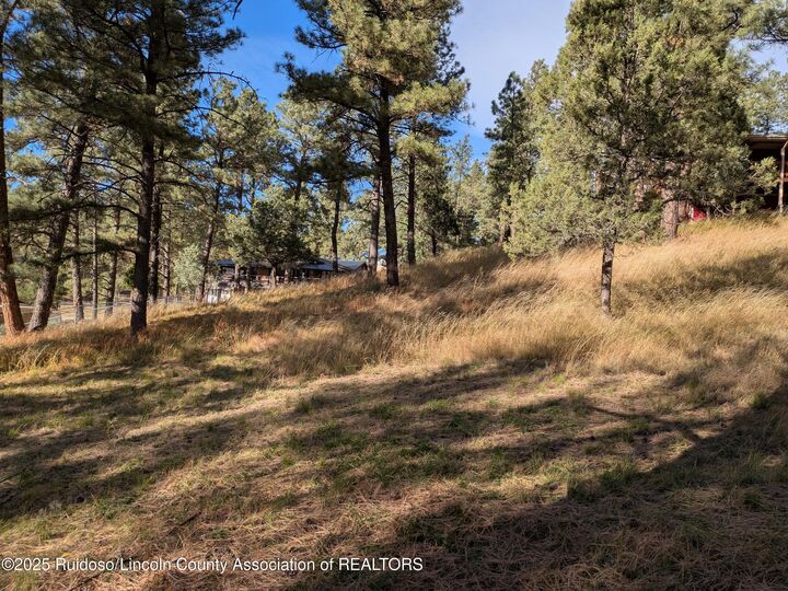 Property Photo: 416 Snowcap Drive NM 88345