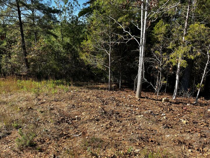 Property Photo:  1693 Liggett Road  TN 37322 