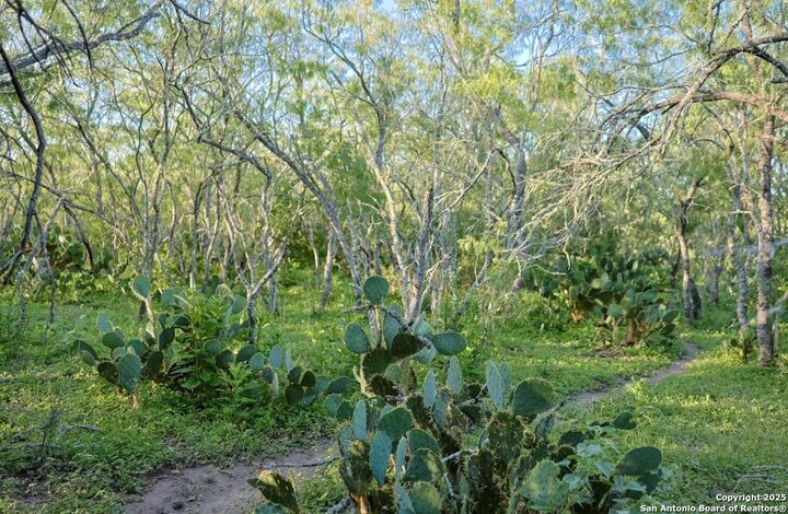 Property Photo:  000 County Line Rd # 120  TX 78102 