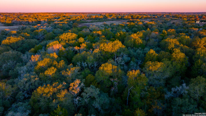 Property Photo:  000 Hagan Mott Rd  TX 77995 