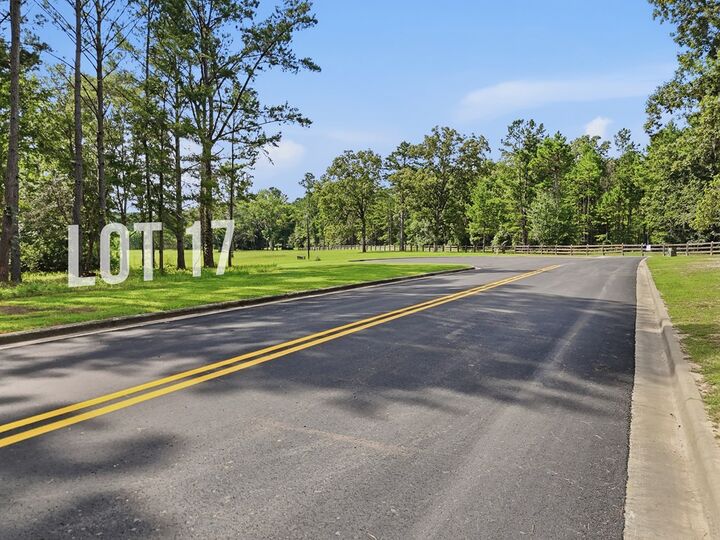 Property Photo:  Lot 17 Grandview Drive  GA 31721 
