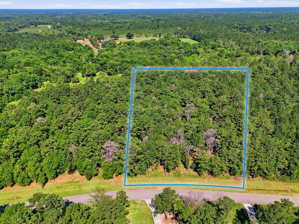 Property Photo:  Lot 7 Hidden Lakes Drive  GA 31721 