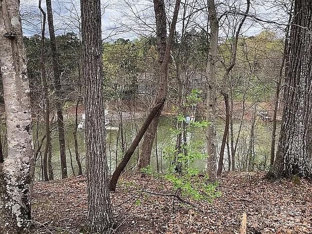 8118 Summit Ridge Drive  Catawba NC 28609 photo