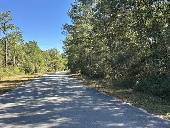 Tbd Bear Head Road  Crestview FL 32539 photo