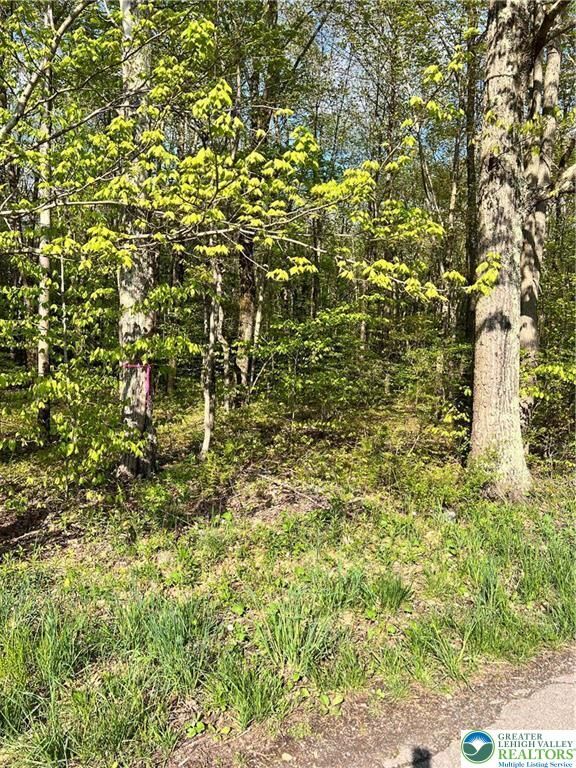 Property Photo: 318 Birch Drive PA 18610