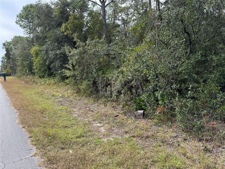 Property Photo: 2830 S Bolton Avenue FL 34448