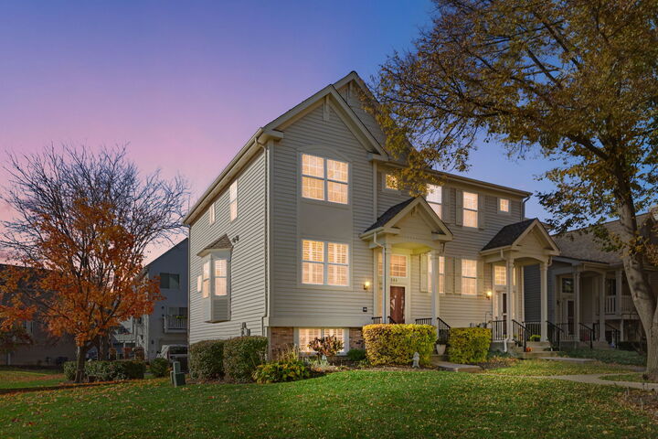 1086 Manchester Circle  Grayslake IL 60030 photo