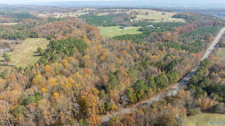 Property Photo:  6.7+/-Acres County Road 85  AL 35968 