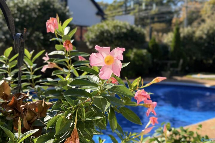 Property Photo:  2203 Century Court SE  AL 35601 