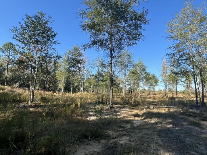 Property Photo:  Tbd Highway 112  LA 70634 