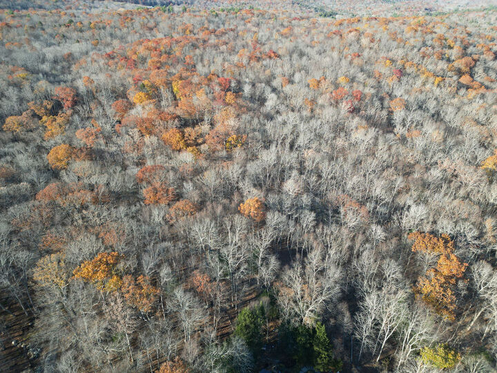 Property Photo: Middle Turnpike CT 06268