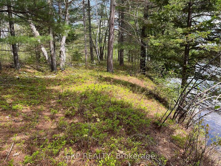 Property Photo:  Lot 37 Sandy Shores Trail  ON K0J 1B0 