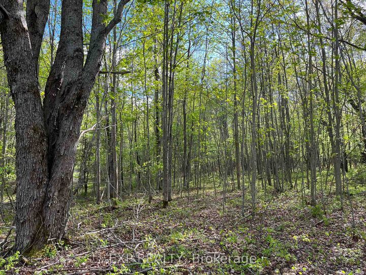 Property Photo:  Lot 7 Casson Trail  ON K0J 1B0 