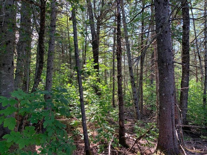 Property Photo: 296 Georges Pond Road ME 04634