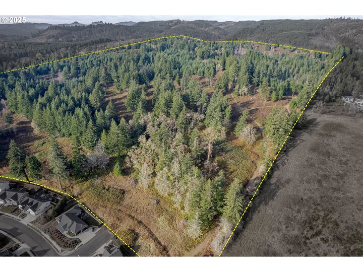 Property Photo:  Holly Ave - Lot 1  OR 97424 