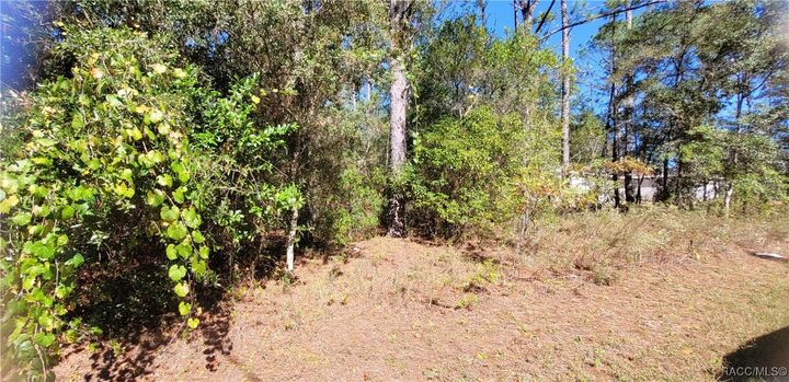 Property Photo:  1837 W Water Lily Drive  FL 34434 