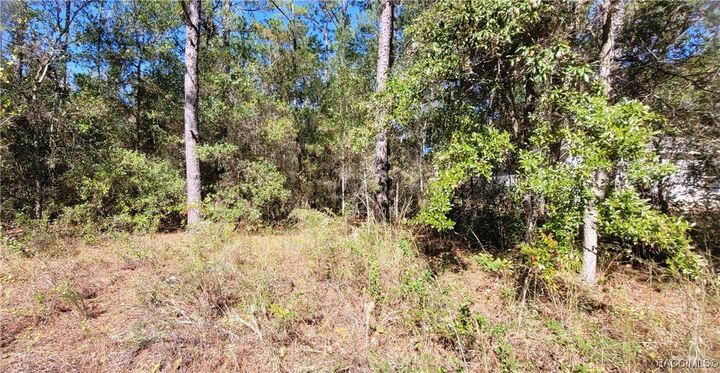 Property Photo:  1837 W Water Lily Drive  FL 34434 