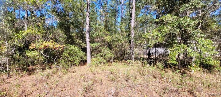 Property Photo: 1837 W Water Lily Drive FL 34434