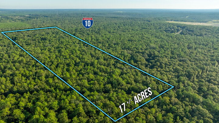 Property Photo: 17 Acres Lyons Place FL 32564