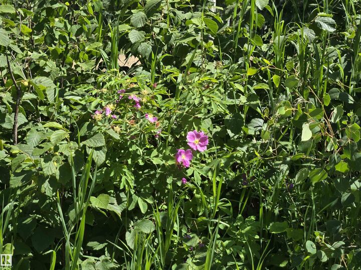 Property Photo:  54516 Rge Road 41  AB T0E 0L0 